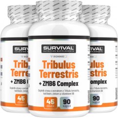 Tribulus Terrestris 90 Fair Power 2+1 zdarma
