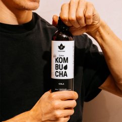 Kombucha BIO 400 ml