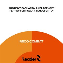 Reco Combat 2,5kg (Po výkonu - bojové a kontaktní sporty)
