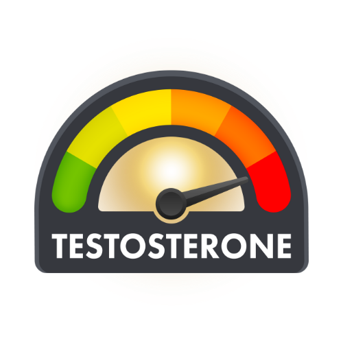 Chci zvýšit testosteron - Warrior Factory