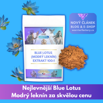 Nejlevnější blue lotus – Modrý lotos za skvělou cenu