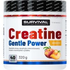 Creatine Monohydrate Gentle Power - 480 g, broskev