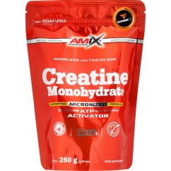 Creatine Monohydrate Powder - 500 g