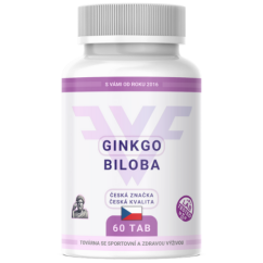 GINKGO BILOBA 60 TAB